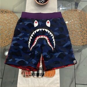 BAPE Multi Color Camo Shorts
